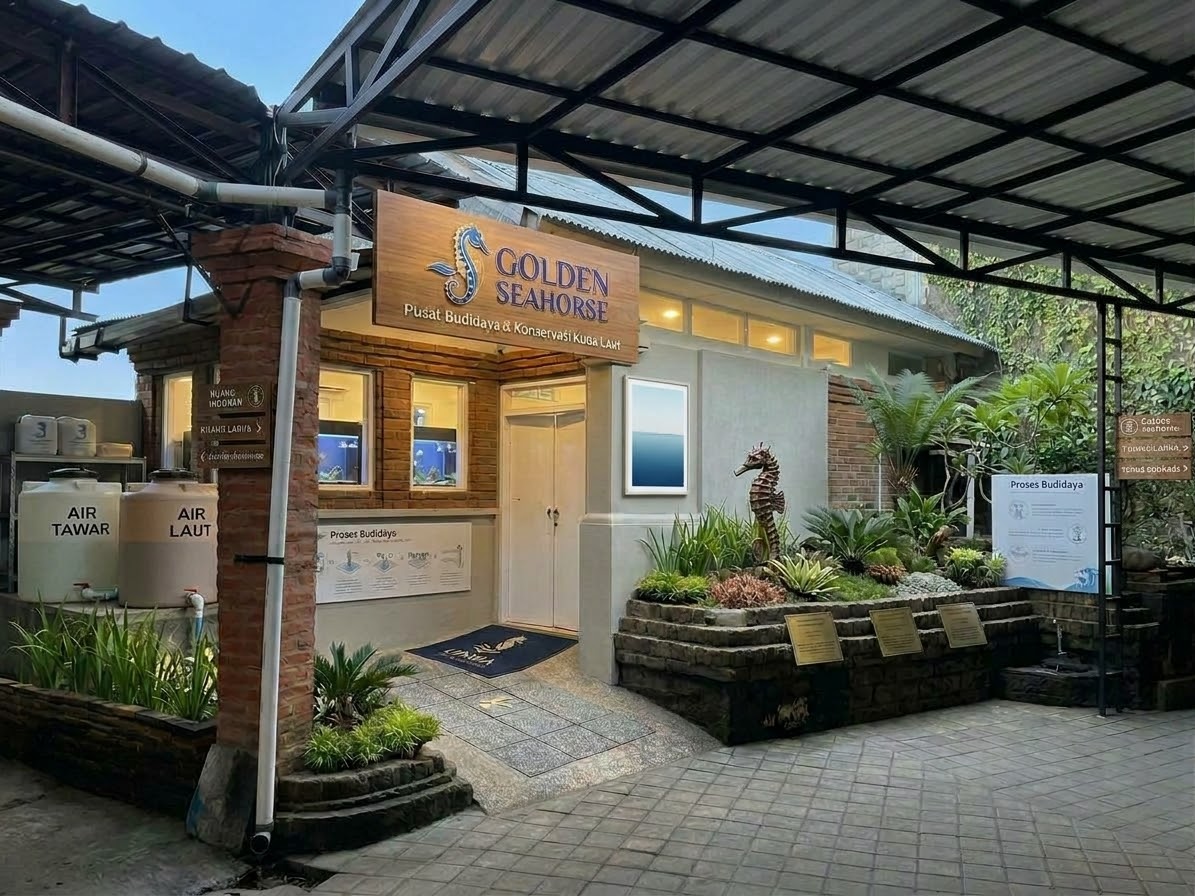 Kantor Seahorse Bali
